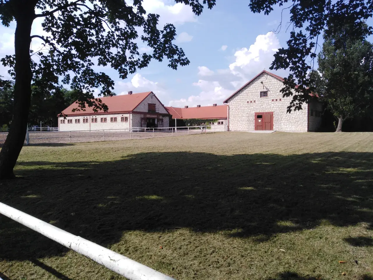 Арабські коні в Польщі