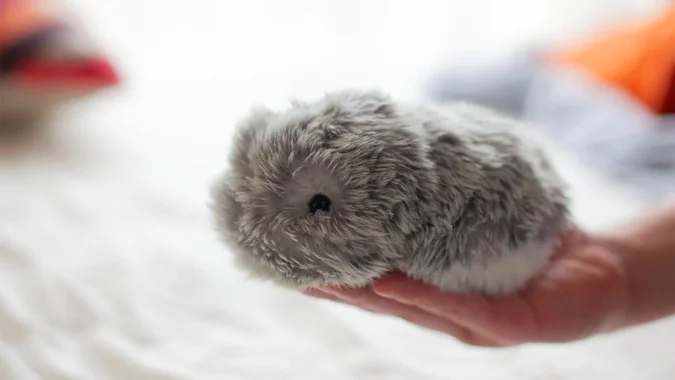 Чи Moflin — це робот