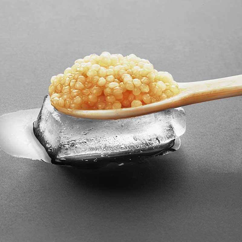 Що таке Kest Kawior