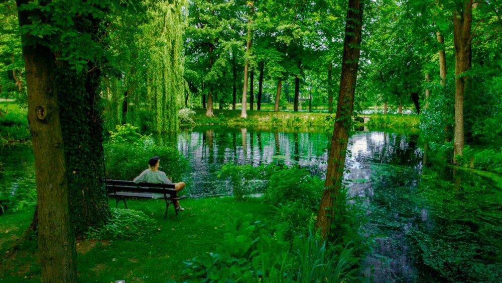 Готель Manor House Park