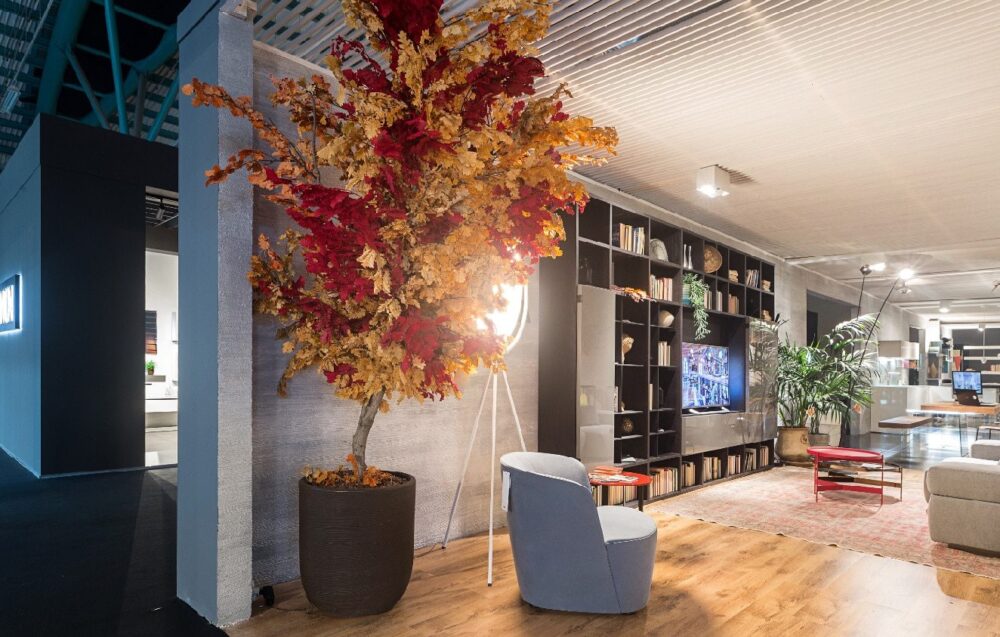 Як стабілізувати рослини Блог