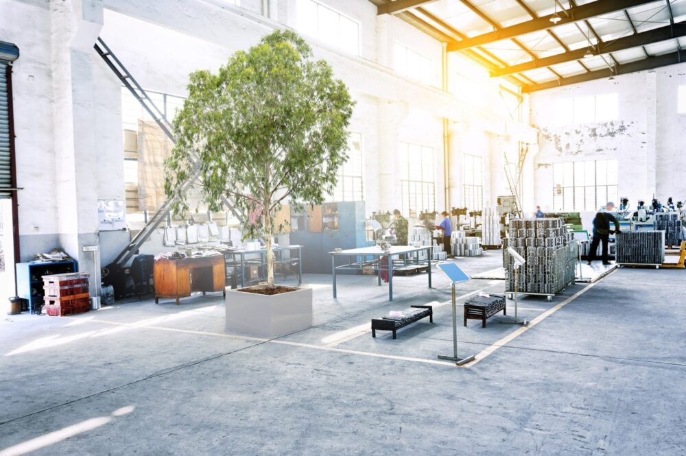 Як стабілізувати рослини