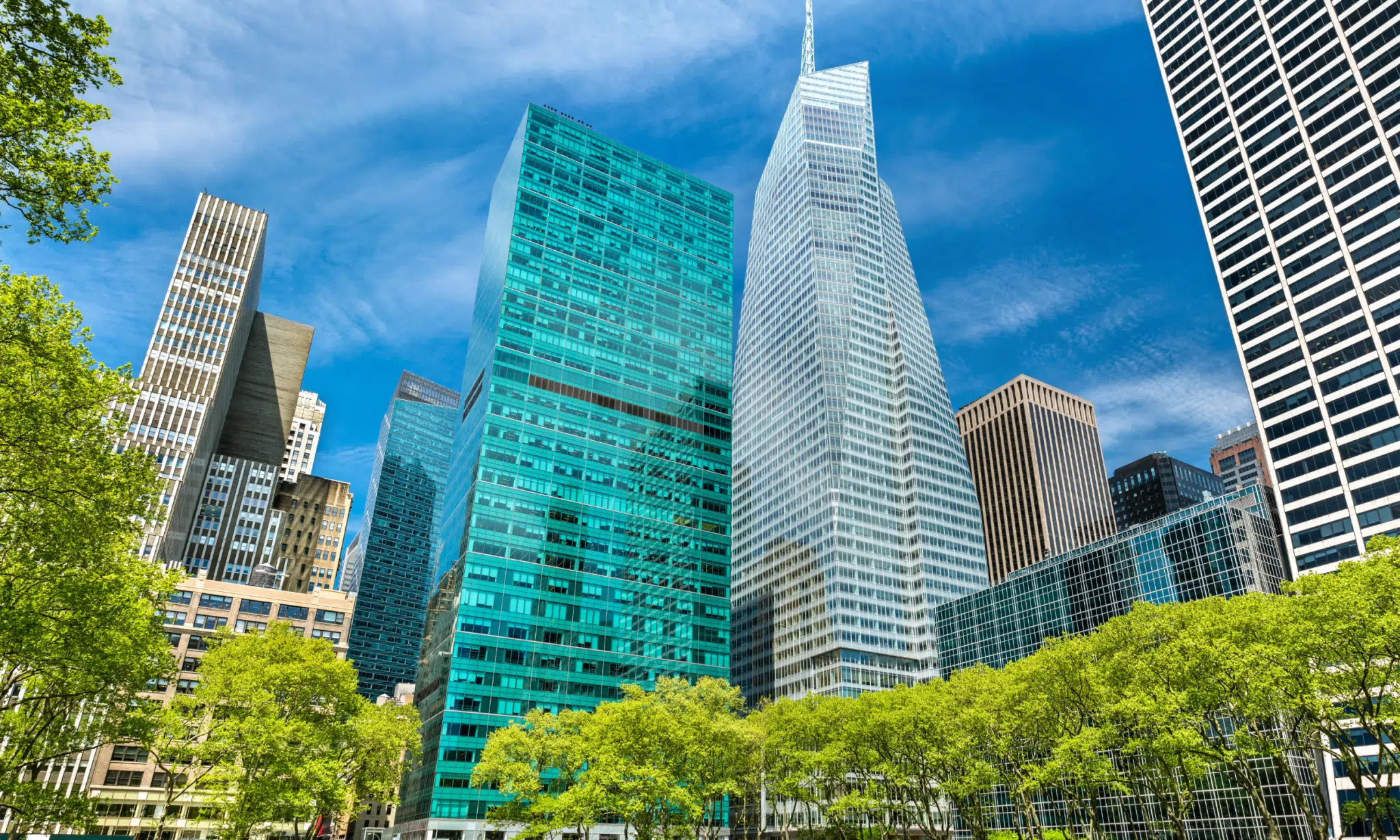 Розкішна Нерухомість