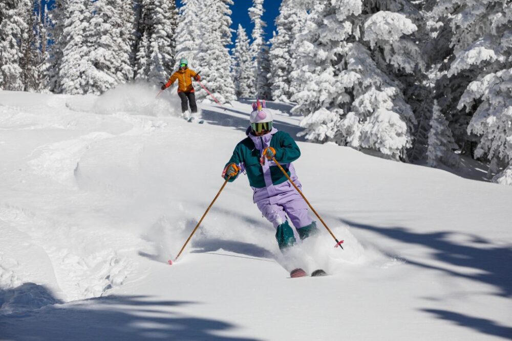 Скільки коштують преміальні лижі