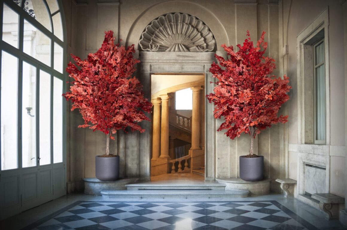 У чому полягає стабілізація рослин