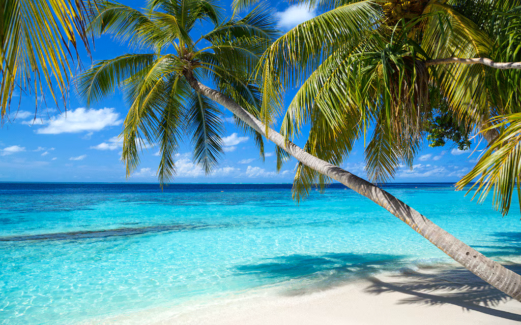 Відпустка на Карибах