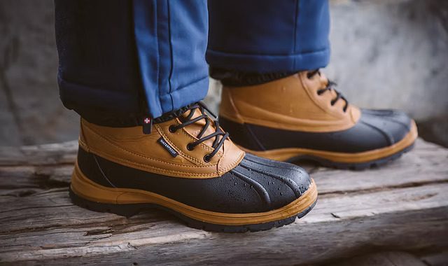 Vertigo Alpes Що Це За Компанія