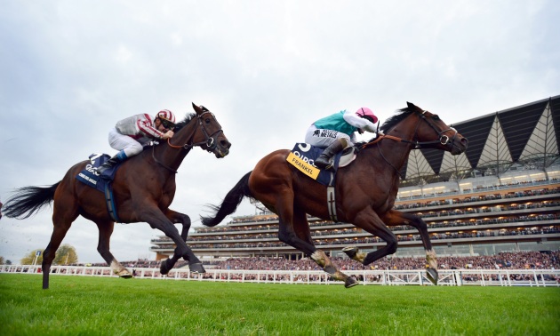 Frankel перемагає Cirrus Des Aigles 20 10 12 Фото Білл Селвін