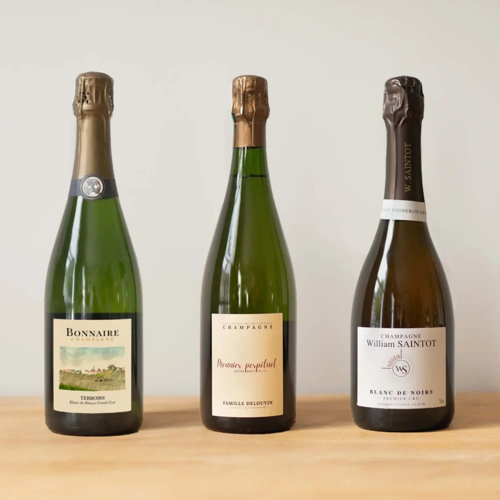Blanc De Blancs Vs Blanc De Noirs Різниця